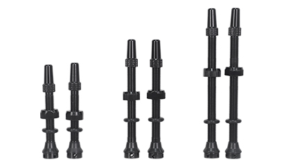 Tubeless Valve
